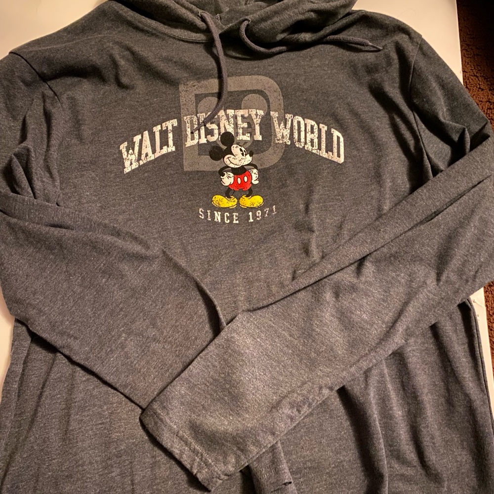 NEW Walt Disney Authentic Hoodie